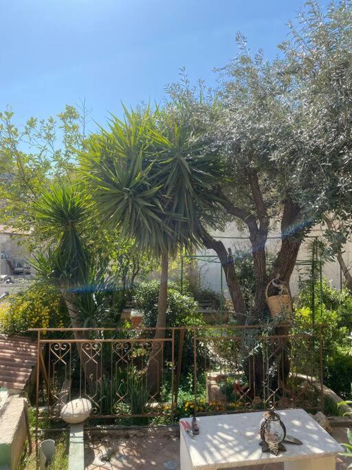 עמאן Central House With Beautiful Garden מראה חיצוני תמונה